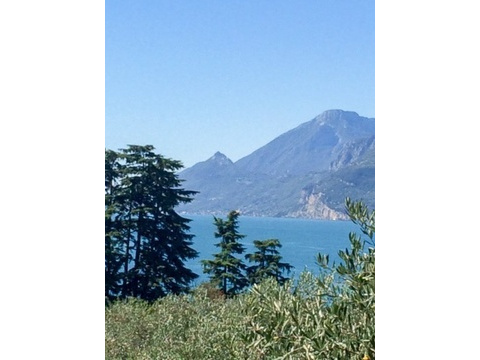 Seeblick