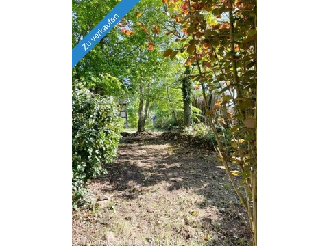 Wohngrundstück kaufen in Pyrbaum, 2.036 m² Grundstück