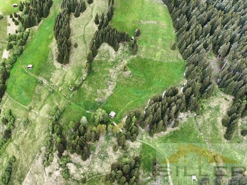 Landwirtschaftlicher Grund (Wiese) in KG Telfes
