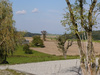 Bauernhaus kaufen in Reisbach, 6.200 m² Grundstück, 250 m² Wohnfläche, 10 Zimmer