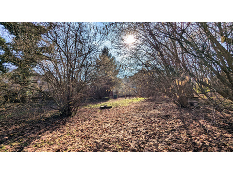 Garten im Frühling