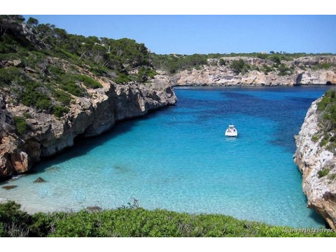 Sonstiges kaufen in Palma