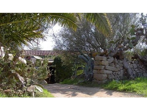 Haus kaufen in Palau, 2.500 m² Grundstück, 245 m² Wohnfläche, 6 Zimmer
