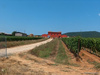 Haus kaufen in Orbetello