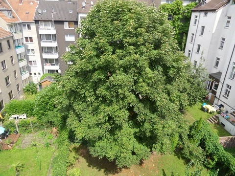 Blick vom Balkon