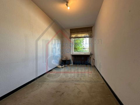 Zimmer EG 1