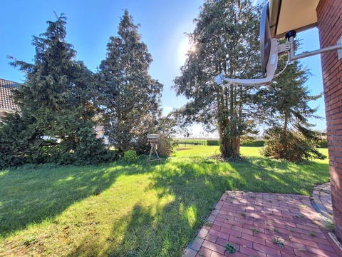 Blick in den Garten