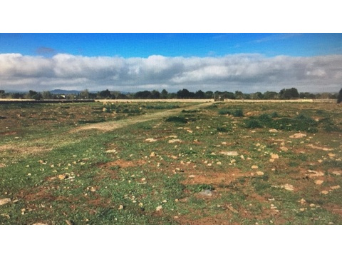 Land Forstwirschaft kaufen in Felanitx, 21.000 m² Grundstück