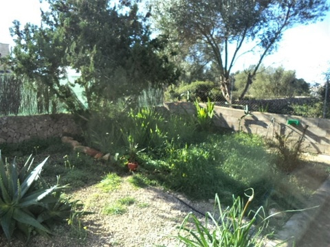 Garten1