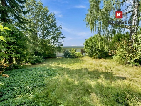 Blick aufs Haus von der Rückseite des Grundstücks