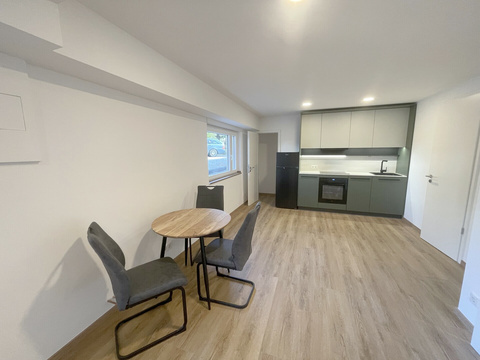 Souterrainwohnung mieten in Bonn, 31 m² Wohnfläche, 1 Zimmer