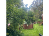 Doppelhaushälfte kaufen in Großbeeren, mit Stellplatz, 265 m² Grundstück, 130 m² Wohnfläche, 4 Zimmer