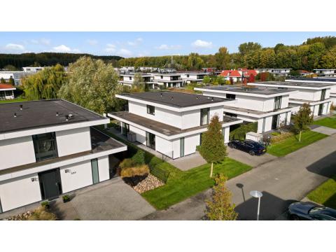 Bild...