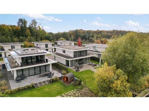 Bild...