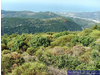 Gemischtes Grundstück kaufen in Kyparissia, 46.000 m² Grundstück