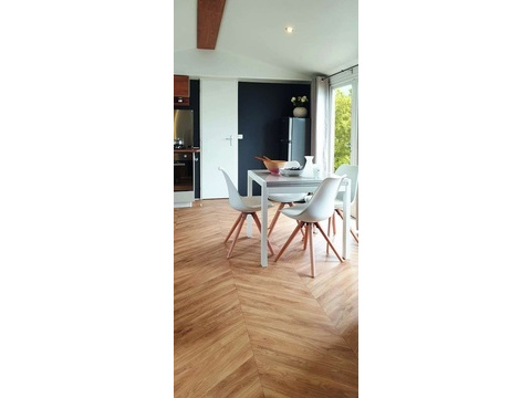 Ferienhaus Holland Kaufen 005