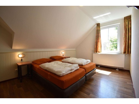 Ferienhaus Cochem Kaufen 051