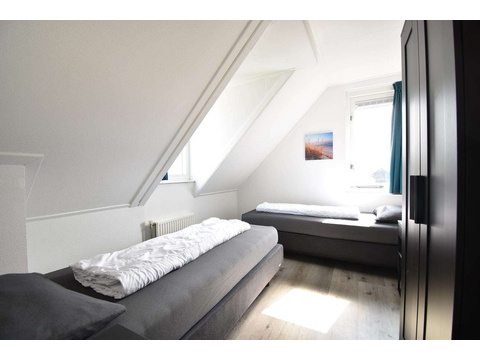 Ferienhaus Holland Kaufen004