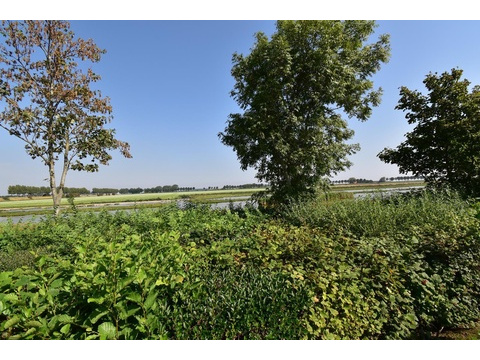 park-zeedijk-9-034