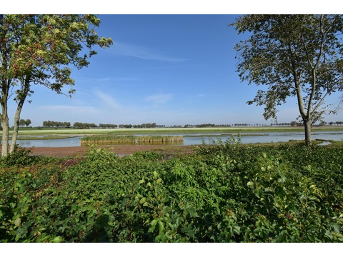 ferienhaus-kaufen-niederlande-012