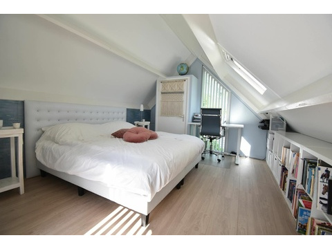 Ferienhaus Holland kaufen 048
