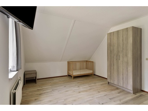 Ferienhaus Holland kaufen 15
