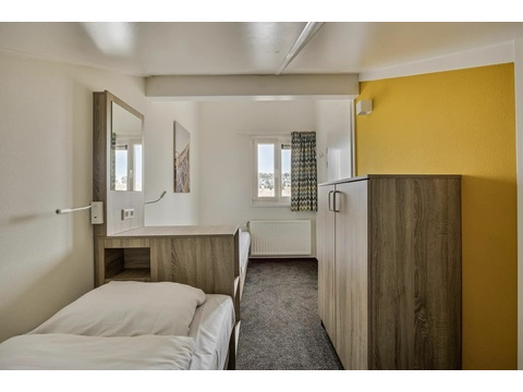 Ferienhaus Holand kaufen 008