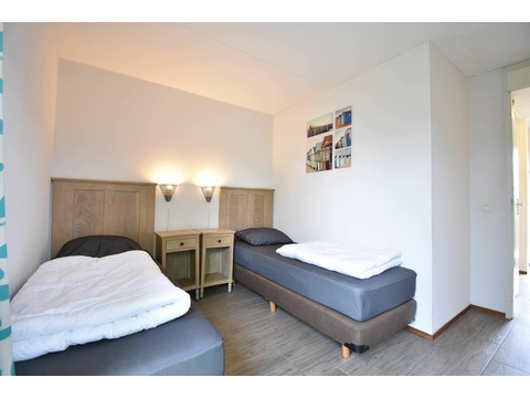 Ferienhaus Holland kaufen 004