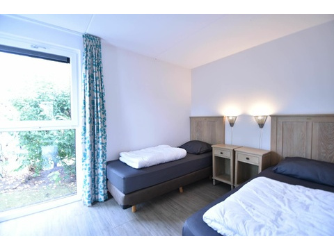 Ferienhaus Holland kaufen 003