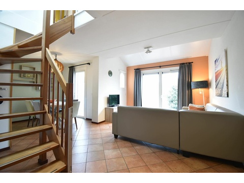 Ferienhaus Holland kaufen 031