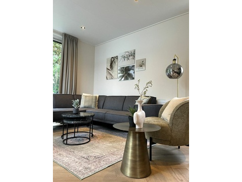 Ferienhaus Holland kaufen 014