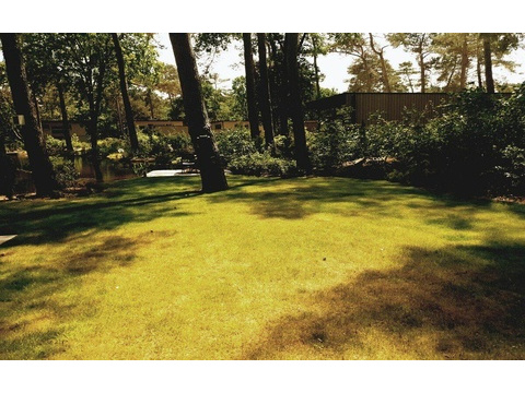 Ferienhaus Holland kaufen 008