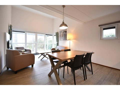 Ferienhaus Holland kaufen 029