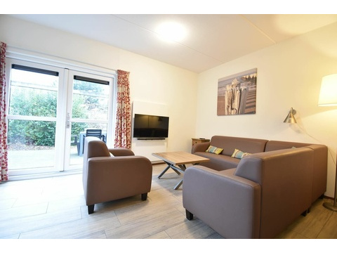Ferienhaus Holland Kaufen 030