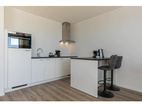 Ferienhaus Holland kaufen 24