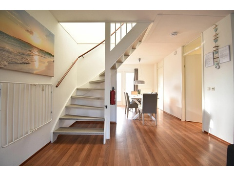 Ferienhaus Holland kaufen20