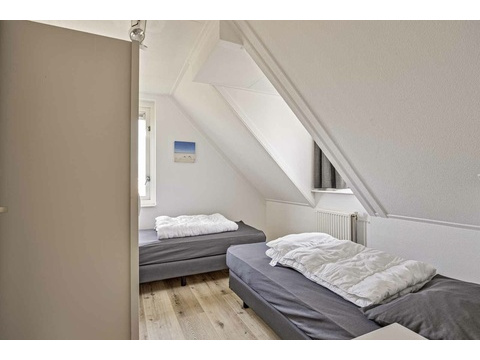 Ferienhaus Holland kaufen 042