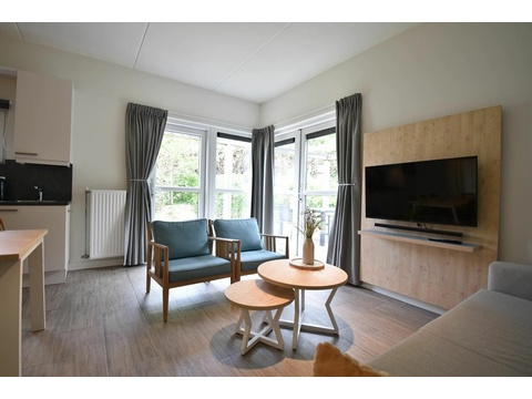 Ferienhaus-im-Strandpark-Duynhille-in-Ouddorp28