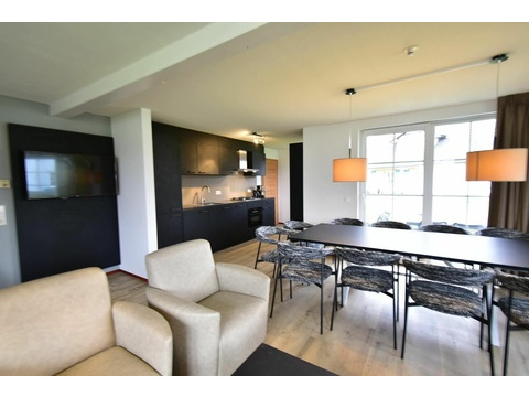 ferienhaus-kaufen-ferienresort-cochem-cochem-niederlande-moderne-kuche-und-wohnzimmer-2025