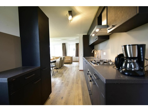 ferienhaus-kaufen-ferienresort-cochem-cochem-niederlande-lange-kuche-mit-blick-wohnzimmer-2025