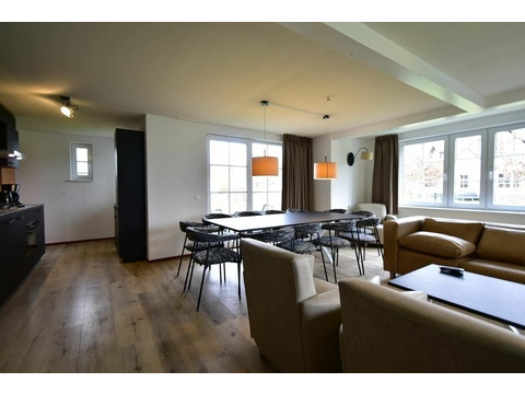 ferienhaus-kaufen-ferienresort-cochem-cochem-niederlande-grosses-wohnzimmer-mit-esstisch-2025