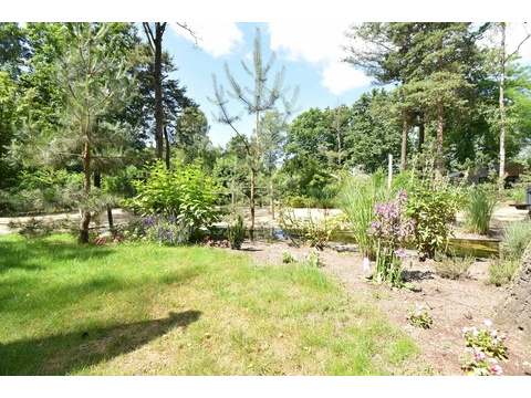 chalet-kaufen-arnhem-wasserlage-bach-terrasse-2025.webp02