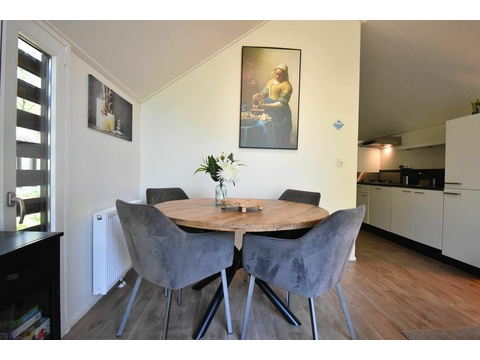 chalet-kaufen-arnhem-wohnzimmer-terrassenturen-terrasse-2025.webp008