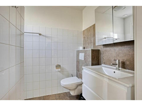 badezimmer-kaufen-noordwijkerhout-waschbecken-spiegelschrank-fussbodenheizung07