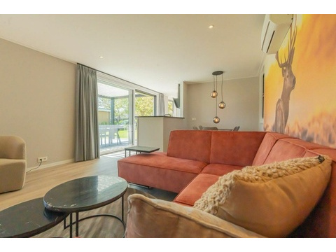 Luxus Wohnzimmer Chalet Schouwen Duin Mit Künstlerischem Wandgemälde005