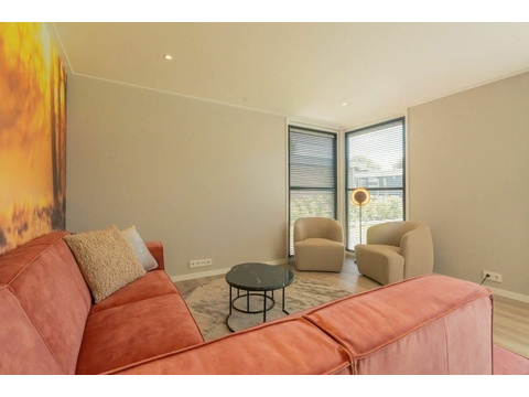 Luxus Wohnzimmer Chalet Schouwen Duin Mit Künstlerischem Wandgemälde002