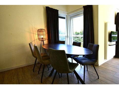 Ferienhaus Ouddorp Wohnzimmer Modern Roompot Strandpark Duynhille03
