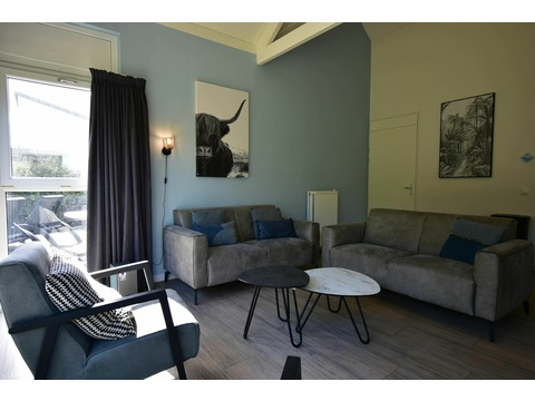 Ferienhaus Ouddorp Wohnzimmer Modern Roompot Strandpark Duynhille05