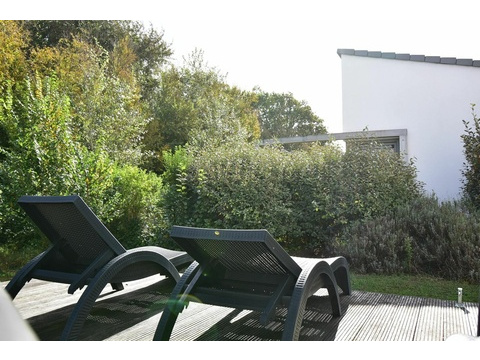 Ferienhaus Kaufen Ouddorp Roompot Strandpark Duynhille07