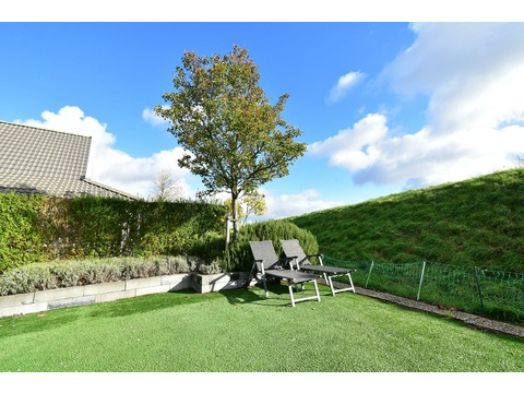 chalet-kaufen-summio-park-aquadelta-bruinisse-niederlande-garten-mit-liegestuehlen-2025